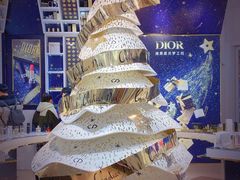 -Dior迪奥(上海世茂广场店)