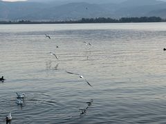 -西昌邛海湾柏樾酒店(原邛海湾柏栎度假酒店)