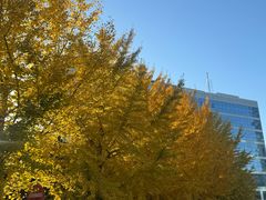 -锦江富园大酒店-游泳馆