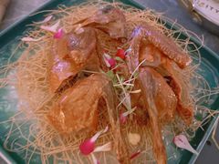 -Hi City·城市之巅