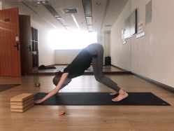 -兰瑜伽·普拉提