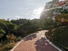 -大屏嶂森林公园