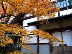 -常寂光寺