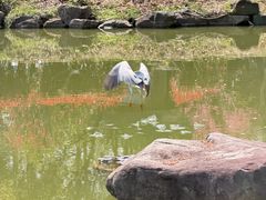 -浙江农林大学(东湖校区)