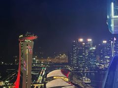 -新加坡摩天观景轮
