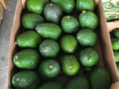 -东方鼎信农副产品交易中心