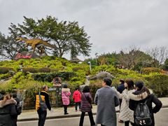 -自贡恐龙博物馆