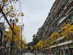 -黄桷坪涂鸦艺术街
