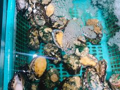-胖子饺子馆·海鲜家常菜(海军博物馆店)