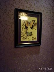 -归真美学颜究中心