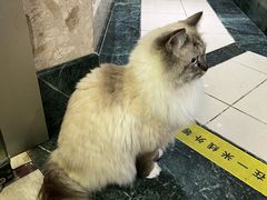 -剧狐剧本杀·月球探案馆(人民广场1号店)