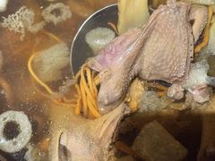 -鸽子侯·家宴·平价海鲜(市图书馆店)