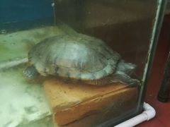 -鑫悦楼煎蟹·16年海鲜大排档