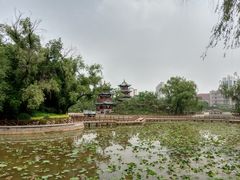 -迎泽公园