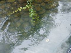 -西江印象酒楼