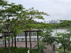 -王借岗森林公园