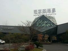 android_upload_pic-久宴·天目湖大鱼头(恐龙园店)