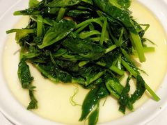 清炒豌豆苗-眉州东坡(团结湖店)
