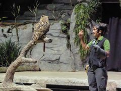 -夜间野生动物园