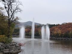 -竹叶涮肉坊(总店)