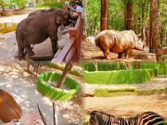 -北京野生动物园