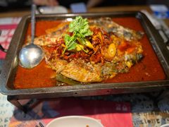 -探炉·香辣豆花烤鱼(雄峰城店)
