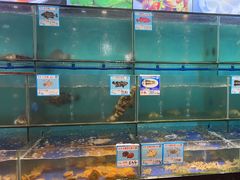 -南海渔家•渔民海鲜(亚特兰蒂斯店)