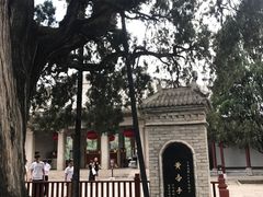 -黄帝陵