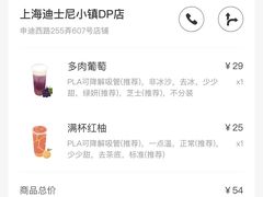 -喜茶(迪士尼小镇DP店)