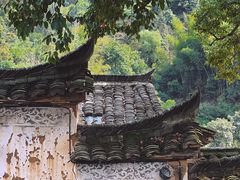 -杨家堂村