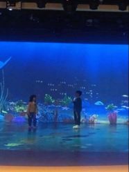 -小鸡哆哆故事屋·儿童乐园(嘉里城店)