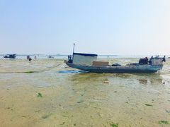 -北海金海湾红树林生态旅游区