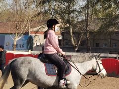 -北京群众马术培训基地