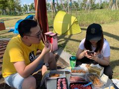 -春花秋色城市公园