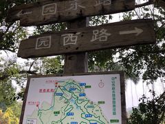 -中山市树木园