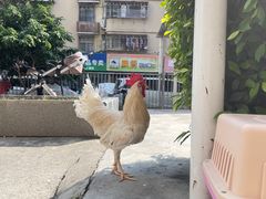 -Again Coffee Roaster(香蜜湖店)