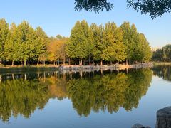-大兴滨河森林公园