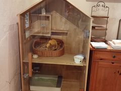 -懒鱼时光馆(沙坪坝店)