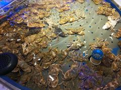 -澜悦港海鲜体验主题餐厅