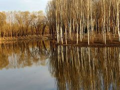 -东郊湿地公园