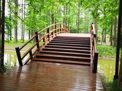 -黄海国家森林公园