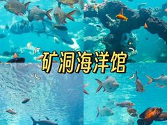 -长鹿旅游休博园