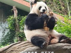 -广州动物园
