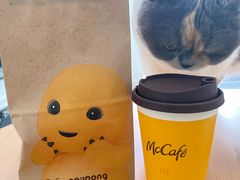 -麦当劳(农光里店)