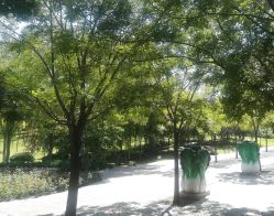 -大望京儿童游乐场