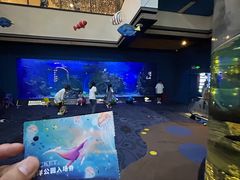 -江和美海洋公园
