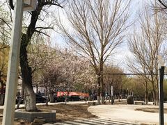 环境-哈尔滨师范大学(江南校区)