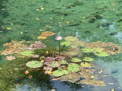 -黄公望隐居地