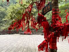 -武陵山森林公园