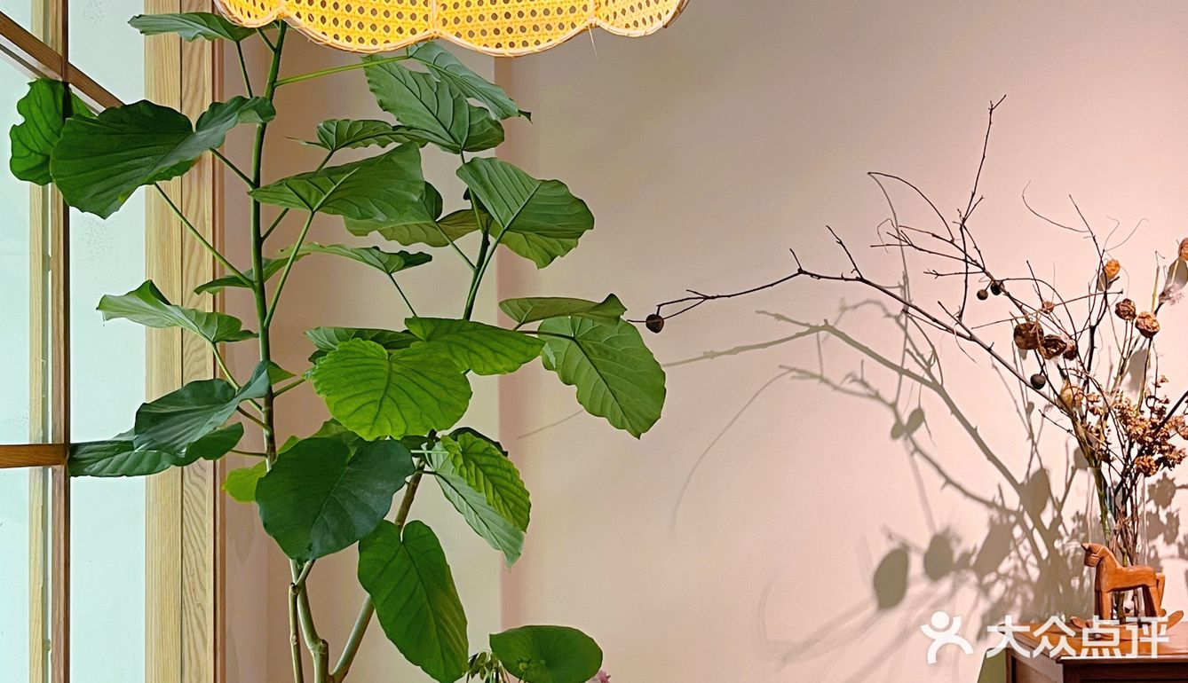 佛山叹啡 | 误入美丽花丛